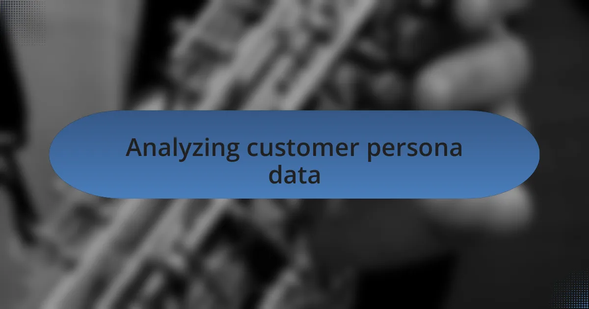 Analyzing customer persona data