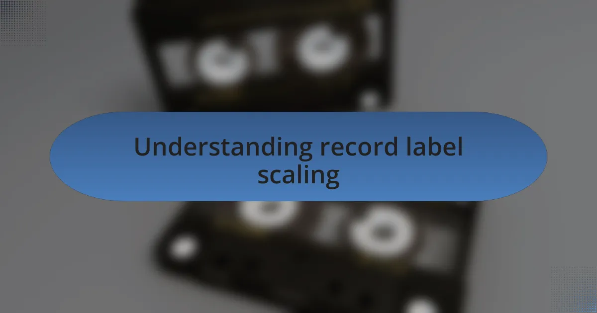 Understanding record label scaling